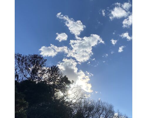 0B6623BE-E391-405E-BE6E-FF49B638F2DA
