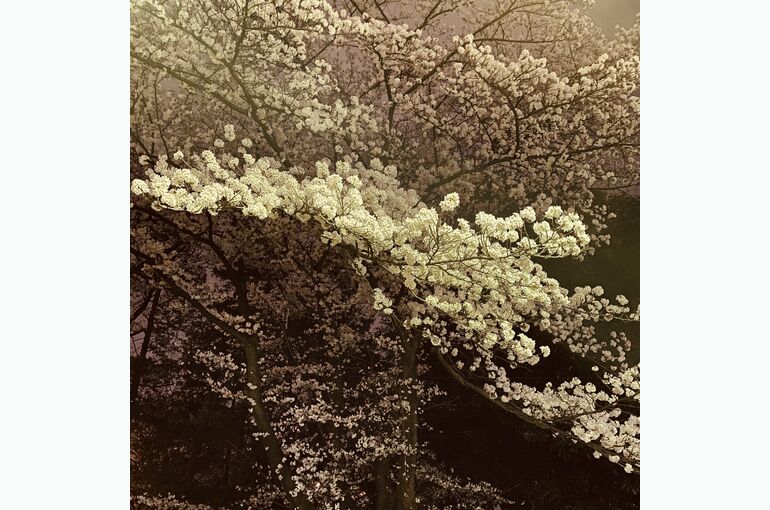 D024DC30-F915-4755-B417-D949D647EE3F