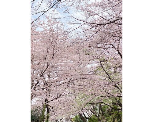 4EA9F403-F457-4C7A-9949-1F5B51269F5C