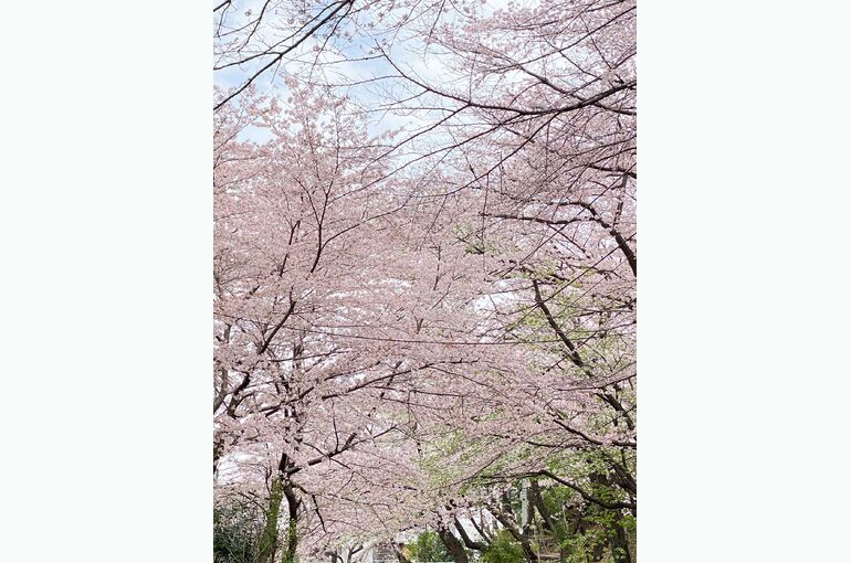 4EA9F403-F457-4C7A-9949-1F5B51269F5C