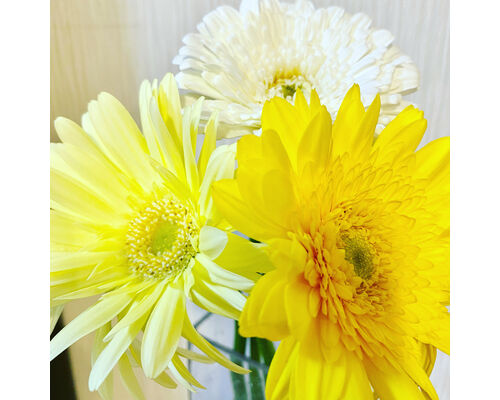 5B33B981-4F0C-4312-AC82-1396FCDD6446