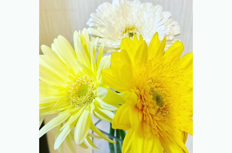 5B33B981-4F0C-4312-AC82-1396FCDD6446