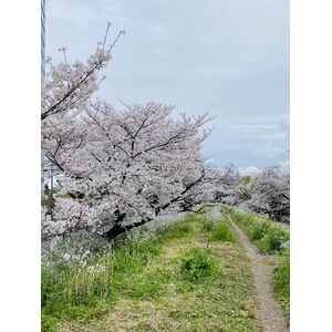 IMG_8743