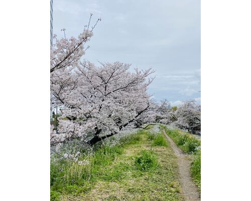 IMG_8743